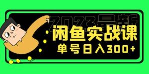 花599买的闲鱼项目：2023最新闲鱼实战课（7节课）-逍遥游
