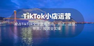 TikTok小店运营 抢占TikTok全球蓝海市场，开店、运营、带货、投流全实操-逍遥游