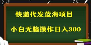 2023最新蓝海快递代发项目，小白零成本照抄-逍遥游