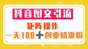 抖音图文引流 矩阵操作 一天100+创业精准粉（5节视频课+素材模板）-逍遥游