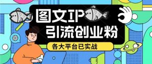 价值1688的ks dy 小红书图文ip引流实操课，日引50-100！各大平台已经实战-逍遥游
