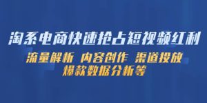 淘系电商快速抢占短视频红利：流量解析 内容创作 渠道投放 爆款数据分析等-逍遥游