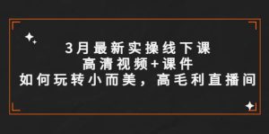 3月最新实操线下课高清视频+课件，如何玩转小而美，高毛利直播间-逍遥游