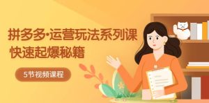 2023拼多多-运营玩法系列课：快速起爆秘籍（5节视频课）-逍遥游