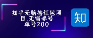 最新知乎撸红包项长久稳定项目，稳定轻松撸低保【详细玩法教程】-逍遥游