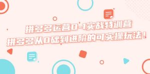 拼多多运营0-1实战特训营，拼多多从0础到进阶的可实操玩法-逍遥游