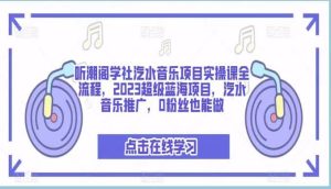 听潮阁学社汽水音乐项目实操课全流程,2023超级蓝海项目,汽水音乐推广,0粉丝也能做-逍遥游