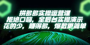 拼多多实操运营课：拒绝口嗨，全后台实操演示，花的少，赚得多，爆款更简单-逍遥游