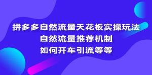 拼多多自然流量天花板实操玩法：自然流量推荐机制，如何开车引流等等-逍遥游