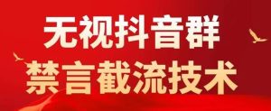 抖音粉丝群无视禁言截流技术，抖音黑科技，直接引流，0封号（教程+软件）-逍遥游