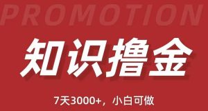 抖音知识撸金项目：执行力强当天见收益(教程+资料)-逍遥游