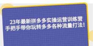 23年最新拼多多实操运营训练营:手把手带你玩转多多各种流量打法!-逍遥游