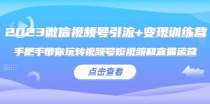 2023微信视频号引流+变现训练营:手把手带你玩转视频号短视频和直播运营-逍遥游