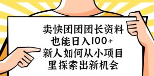 卖快团团团长资料也能日入100+ 新人如何从小项目里探索出新机会-逍遥游