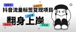 抖音流量标签变现项目，抖音创业粉轻松转化，单价高收益简单-逍遥游