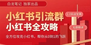 价值980元的《小红书运营和引流课》，日引100高质量粉-逍遥游