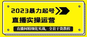 2023暴力起号+直播实操运营,全套直播间精细化实战,全套干货教程-逍遥游