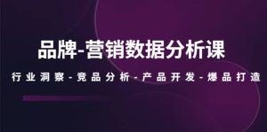 品牌-营销数据分析课，行业洞察-竞品分析-产品开发-爆品打造-逍遥游