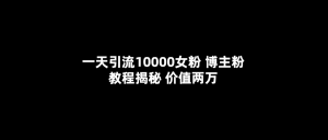 一天引流10000女粉，博主粉教程揭秘（价值两万）-逍遥游