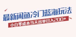 2023最新闲鱼冷门蓝海玩法,小白零成本当天出单日入200+-逍遥游