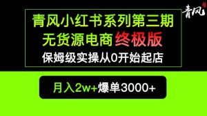 小红书无货源电商爆单终极版【视频教程+实战手册】保姆级实操从0起店爆单-逍遥游