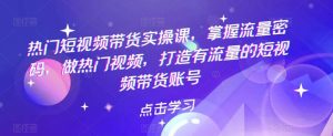 热门短视频带货实战 掌握流量密码 做热门视频 打造有流量的短视频带货账号-逍遥游