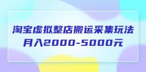 淘宝虚拟整店搬运采集玩法分享课：月入2000-5000元（5节课）-逍遥游