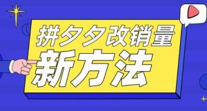 拼多多改销量新方法+卡高投产比操作方法+测图方法等-逍遥游