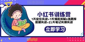 小红书训练营:7天定位实战+7天爆款拆解+选题库搭建实战+21天笔记实操实战-逍遥游