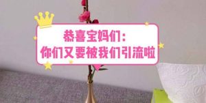 恭喜宝妈们：你们又要被我们引流了（教程+222g资料）-逍遥游