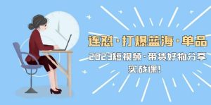连怼·打爆蓝海·单品,2023短视频·带货好物分享·实战课-逍遥游