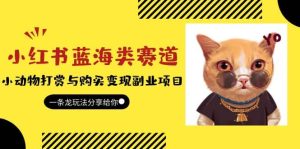 小红书蓝海类赛道:小动物打赏与购买变现副业项目,一条龙玩法分享给你-逍遥游