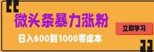 微头条暴力涨粉技巧搬运文案就能涨几万粉丝，简单0成本，日赚600-逍遥游