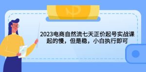 2023电商自然流七天正价起号实战课：起的慢，但是稳，小白执行即可-逍遥游
