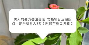 男人的暴力合法生意实操项目巨细版：仅一部手机月入3w（附赠学员工具箱）-逍遥游