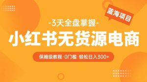 2023小红书无货源电商【保姆级教程从0到日入300】爆单3W-逍遥游