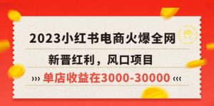 2023小红书电商火爆全网,新晋红利,风口项目,单店收益在3000-30000-逍遥游