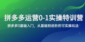 拼多多-运营0-1实操训练营,拼多多0基础入门,从基础到进阶的可实操玩法-逍遥游