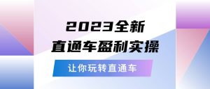 2023全新直通车·盈利实操：从底层，策略到搭建，让你玩转直通车-逍遥游