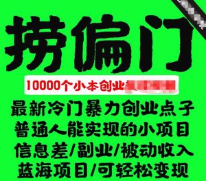 千款捞偏门小本创业小项目，总有一款适合你【无水印】-逍遥游