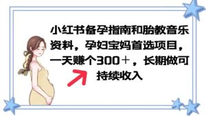 小红书备孕指南和胎教音乐资料 孕妇宝妈首选项目 一天赚个300+长期可做-逍遥游