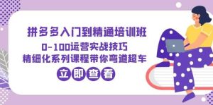 2023拼多多入门到精通培训班：0-100运营实战技巧 精细化系列课带你弯道超车-逍遥游