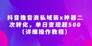 抖音撸音浪私域装x神器二次转化，单日变现超500（详细操作教程）-逍遥游