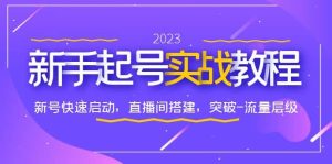 0-1新手起号实战教程:新号快速启动,直播间怎样搭建,突破-流量层级-逍遥游