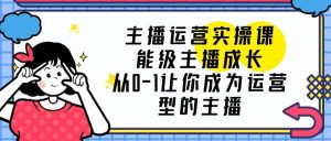 主播运营实操课,能级-主播成长,从0-1让你成为运营型的主播-逍遥游