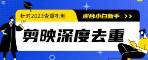 2023年6月最新电脑版剪映深度去重方法，针对最新查重机制的剪辑去重-逍遥游