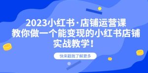 2023小红书·店铺运营课，教你做一个能变现的小红书店铺，20节-实战教学-逍遥游