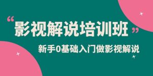 影视解说实战培训班，新手0基础入门做影视解说（10节视频课）-逍遥游