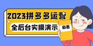 2023拼多多·运营：14节干货实战课，拒绝-口嗨，全后台实操演示-逍遥游