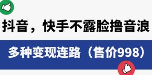 抖音，快手不露脸撸音浪项目，多种变现连路（售价998）-逍遥游